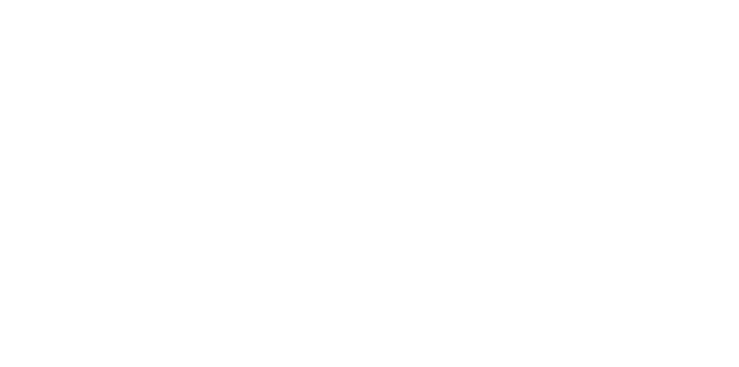 Lean Action Plan