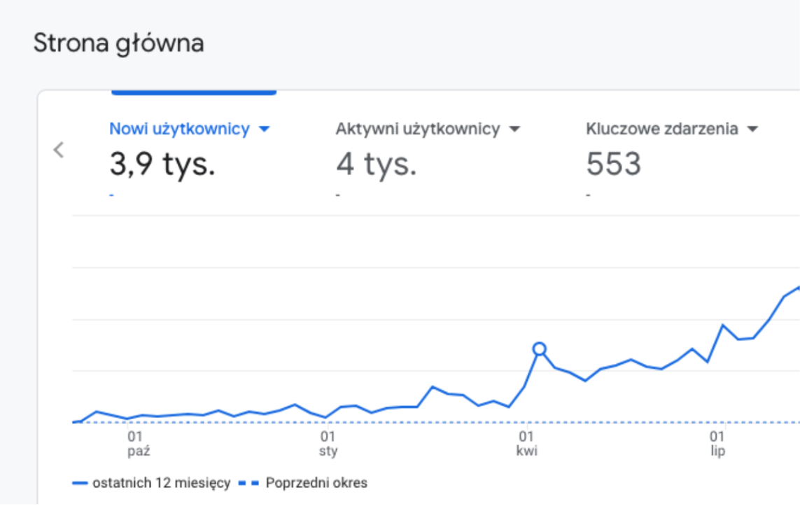 Google Analytics — stały wzrost liczby odwiedzin strony NEXT