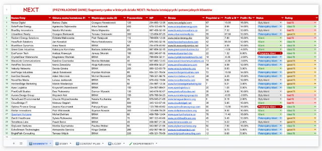 Excel – segmentacja rynku w B2B